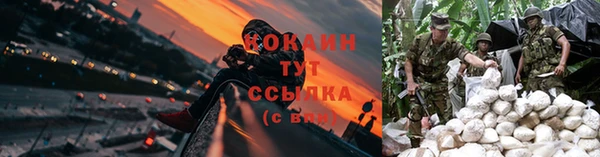 мдпв Вязьма