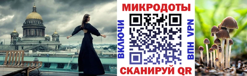 купить наркотик  Вяземский  Галлюциногенные грибы мицелий 